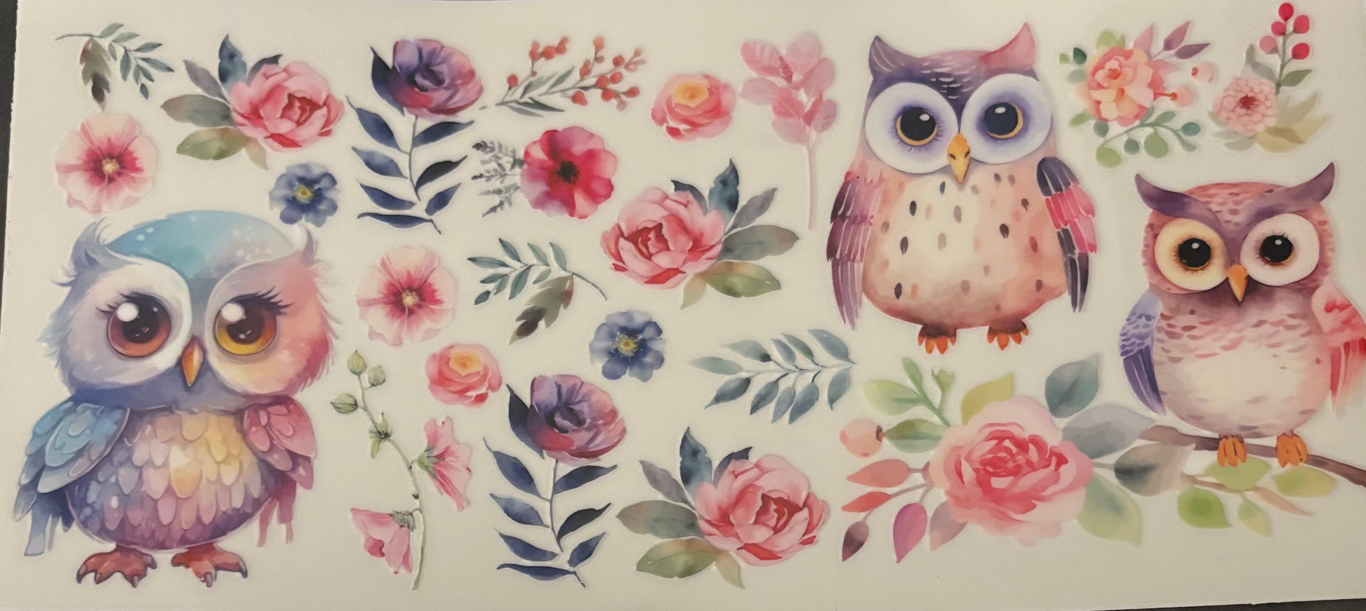 Three owls with various colour flowers