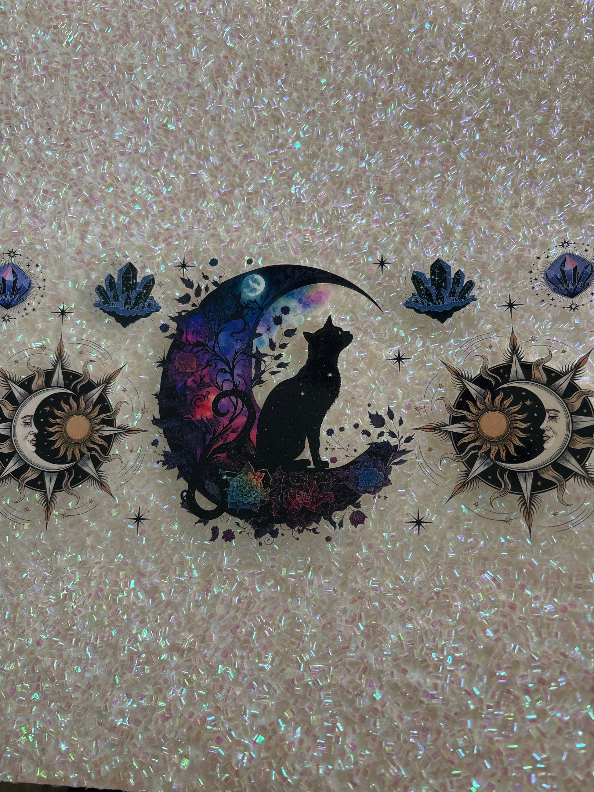 Black cat & Moon 🌑