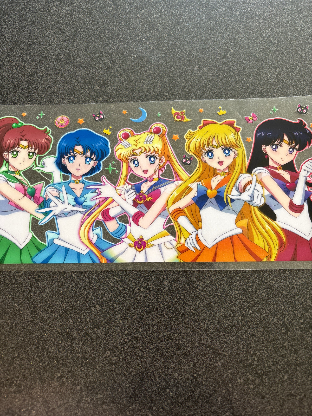 Sailor Moon and friends