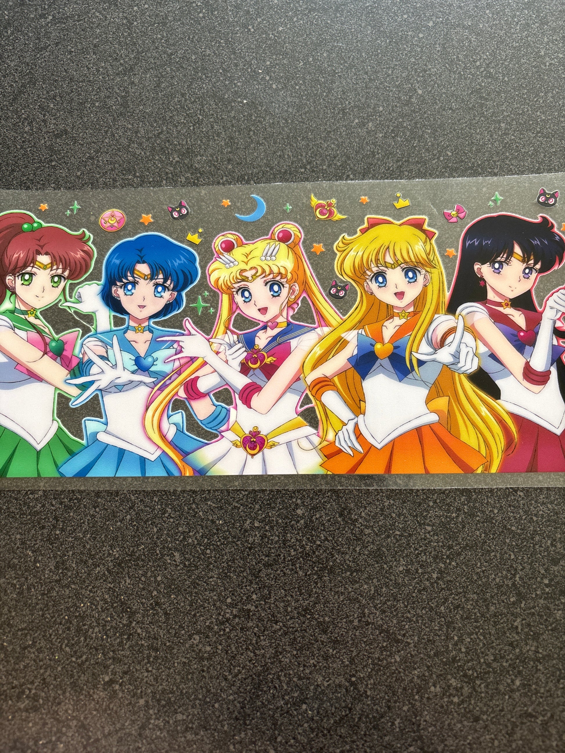 Sailor Moon and friends