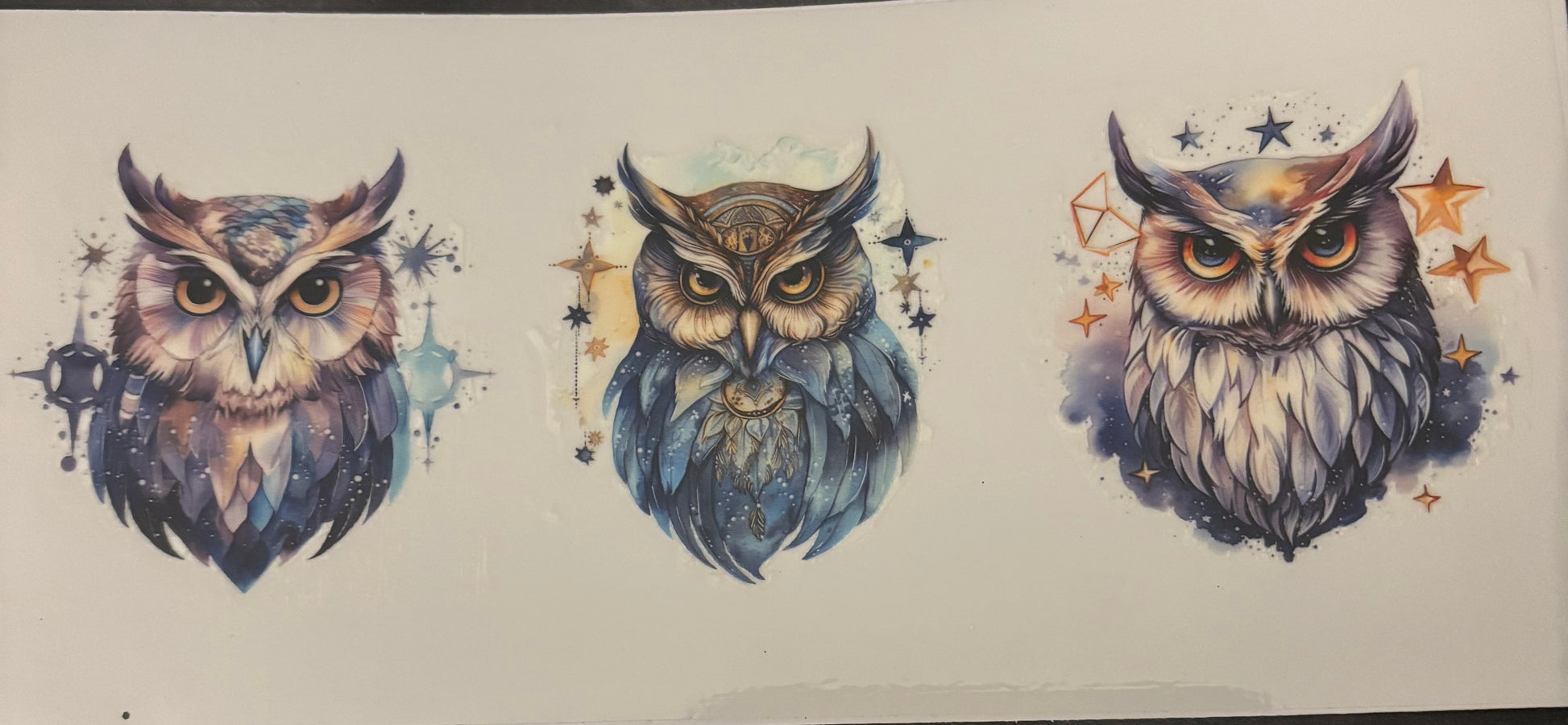 Owl