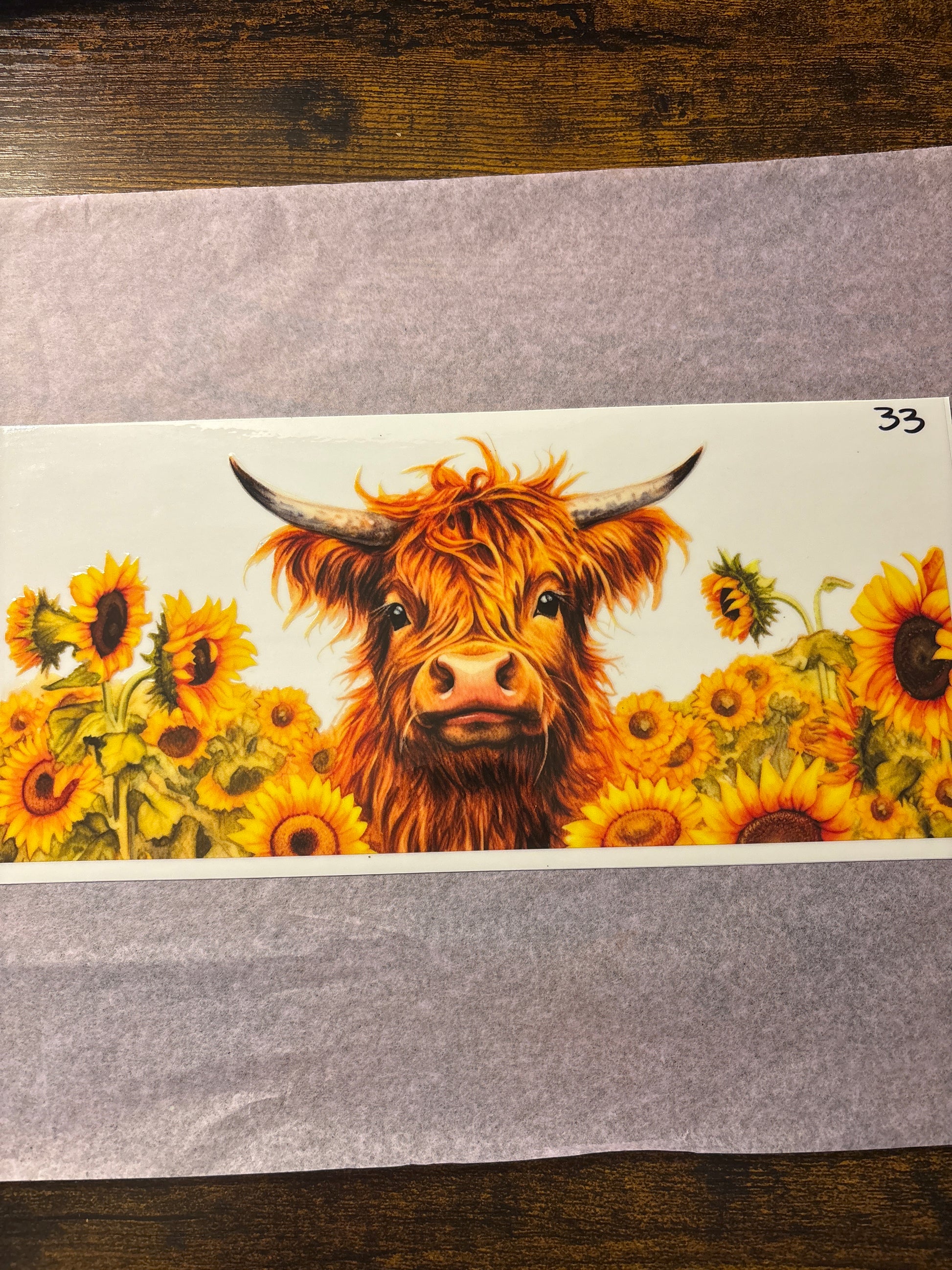 Highland cow, yellow sunflowers