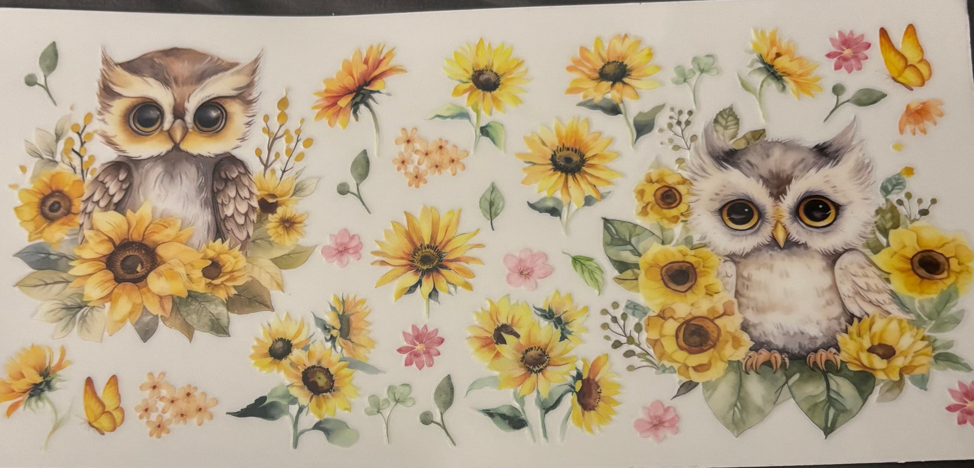 Two baby owls with yellow and pink flowers