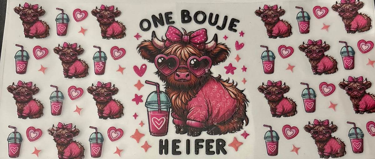 One bouje heifer