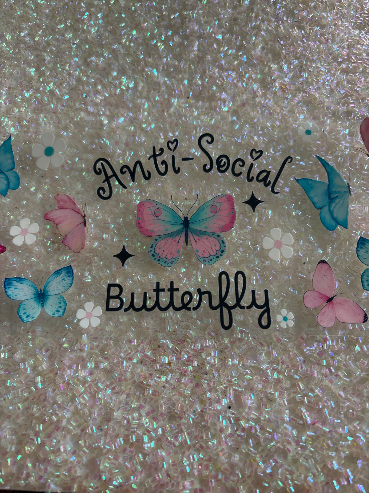 Antisocial butterfly
