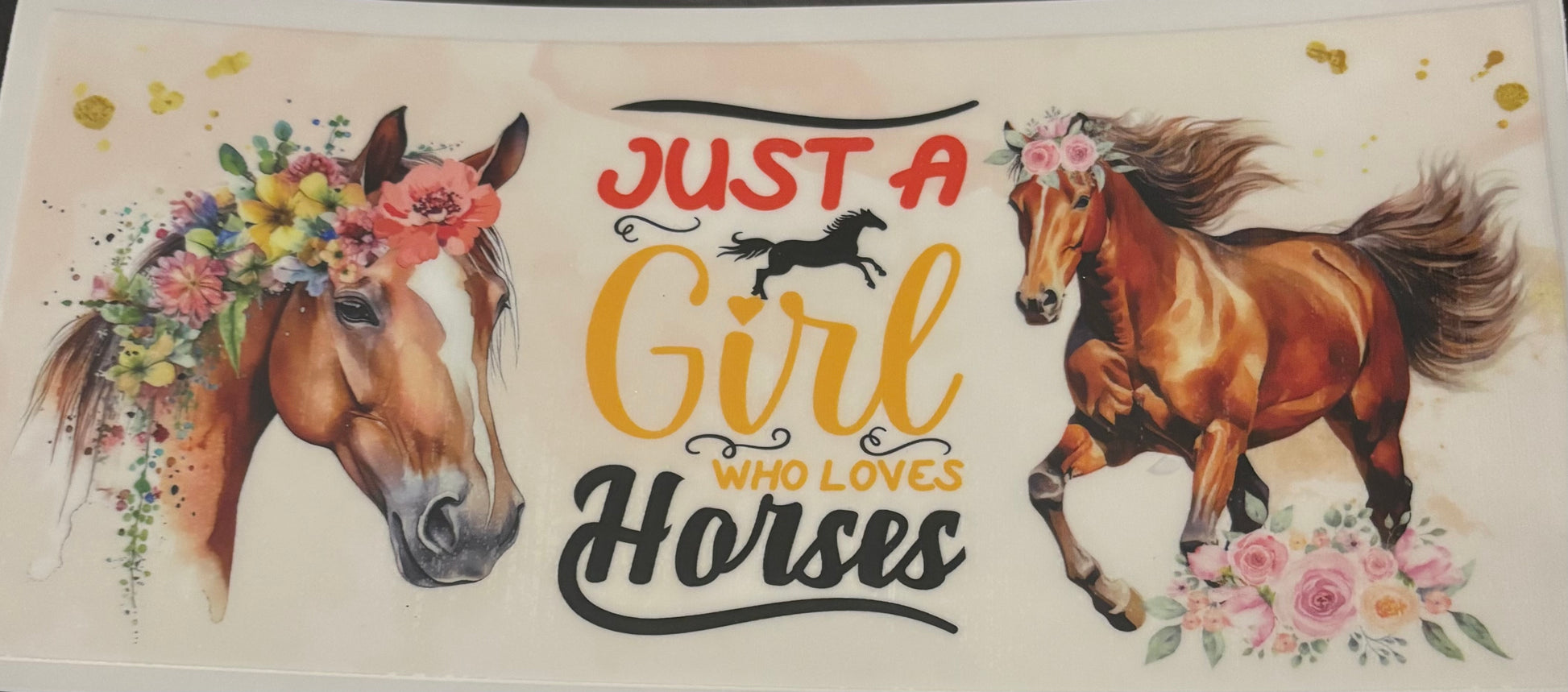 Just a girl who loves horses