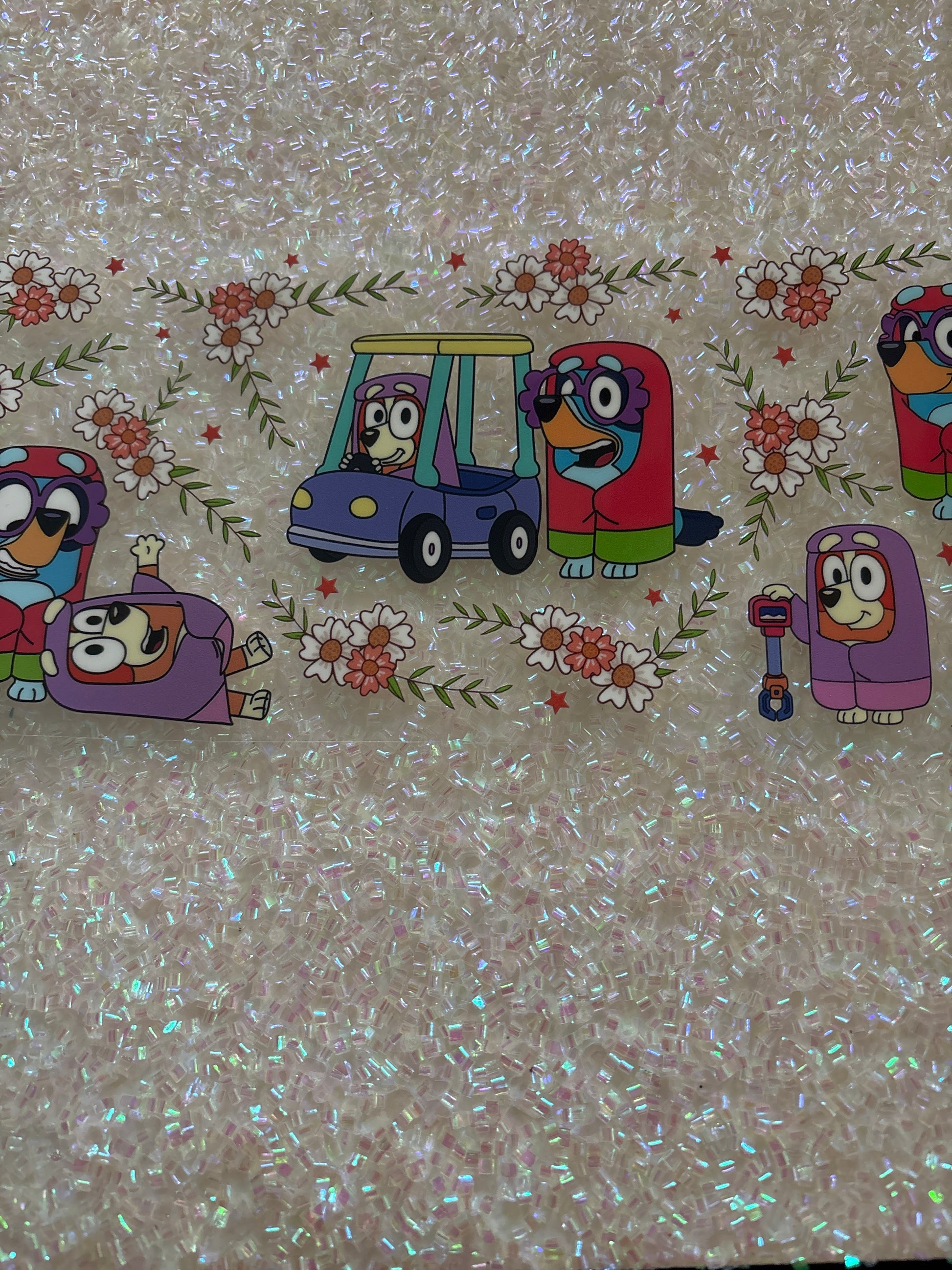 Bluey as the grannies