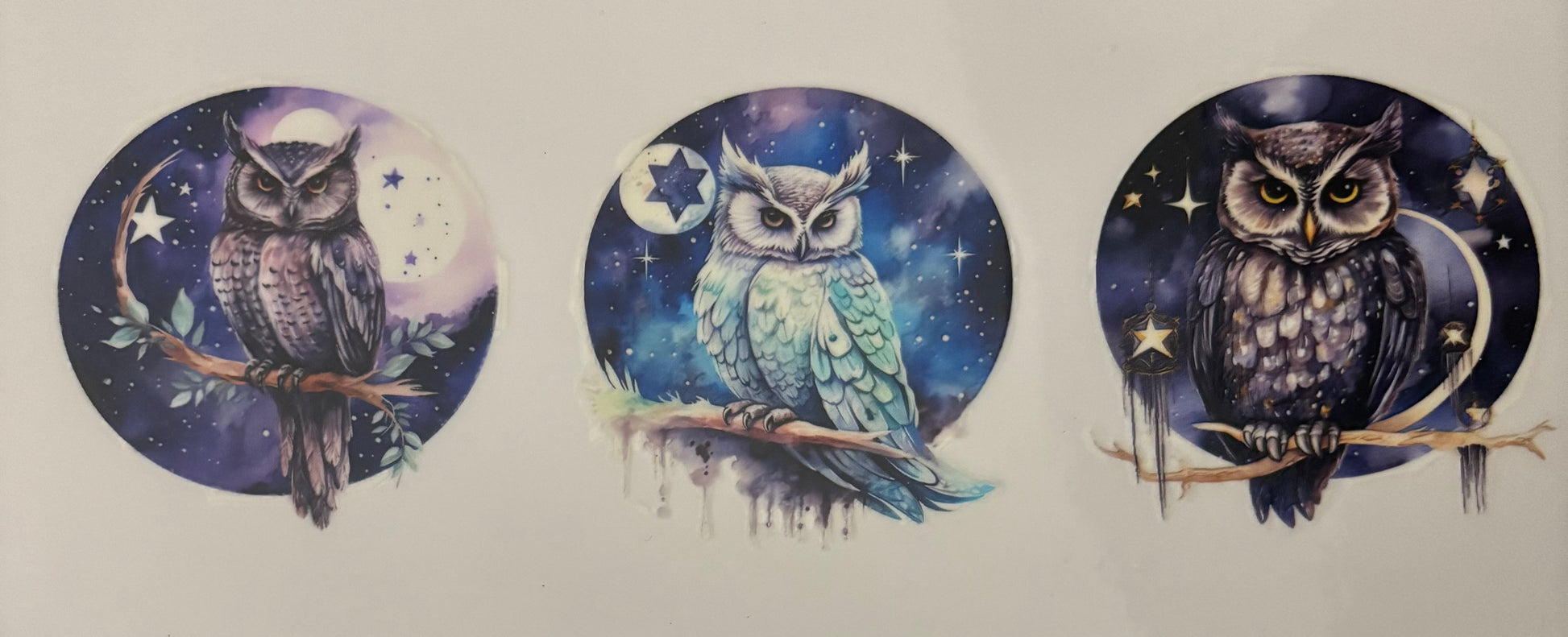 3 owls