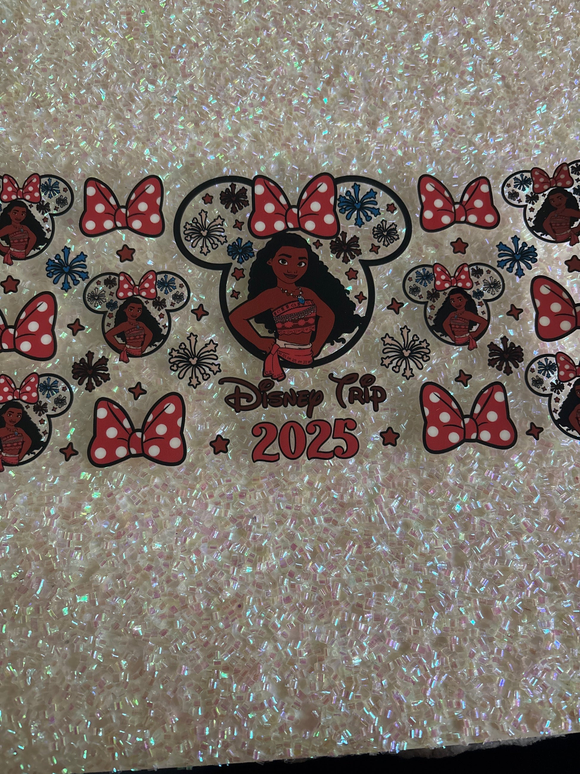 Moana Disney trip 2025