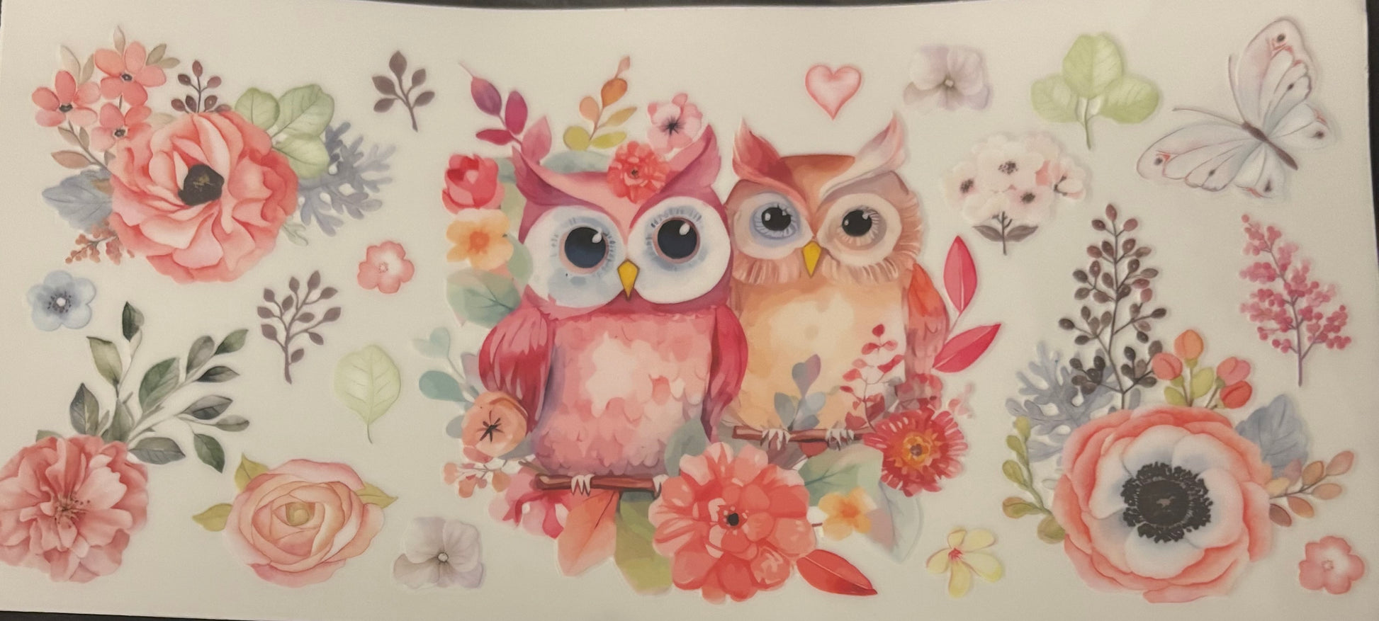 Two owl pink