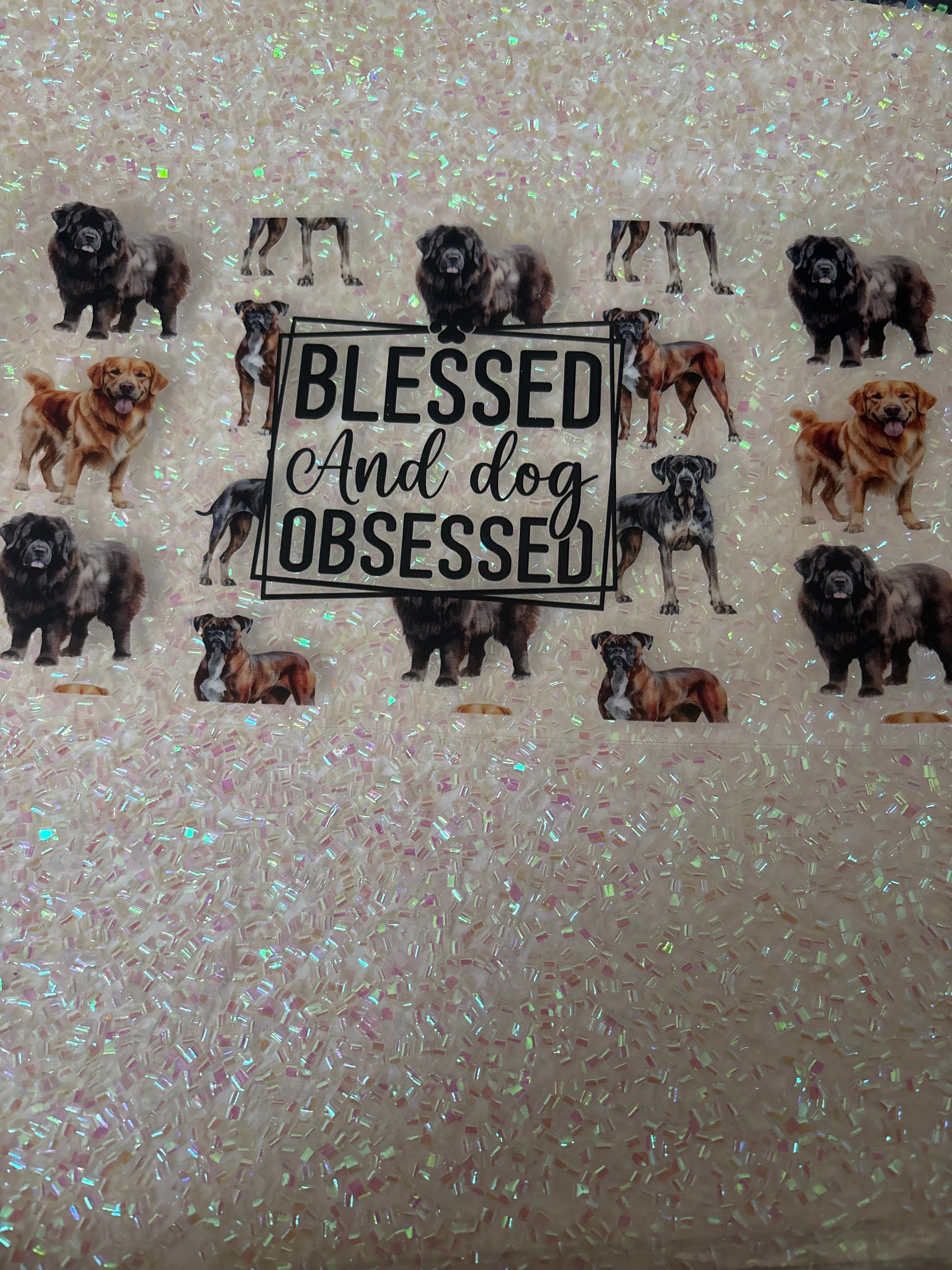 Blessed and dog obsessed