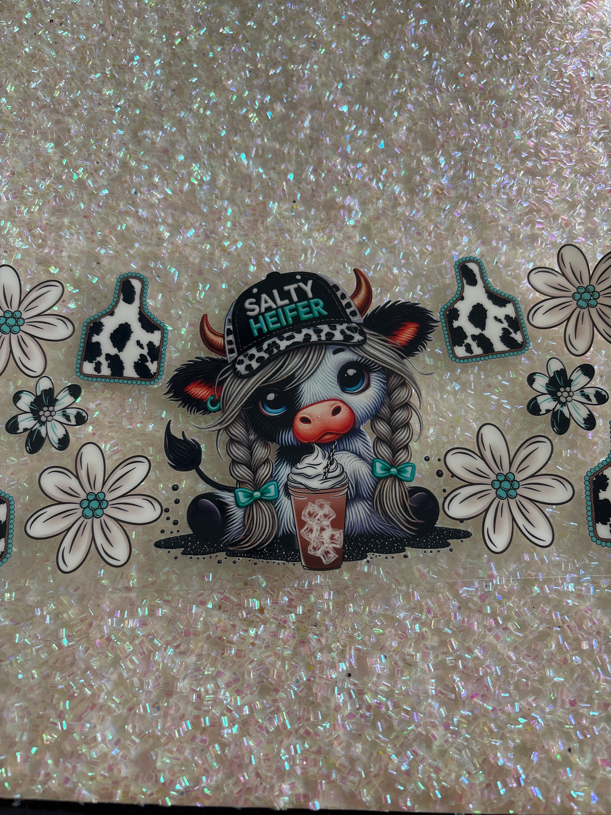 Salty heifer Highland cow