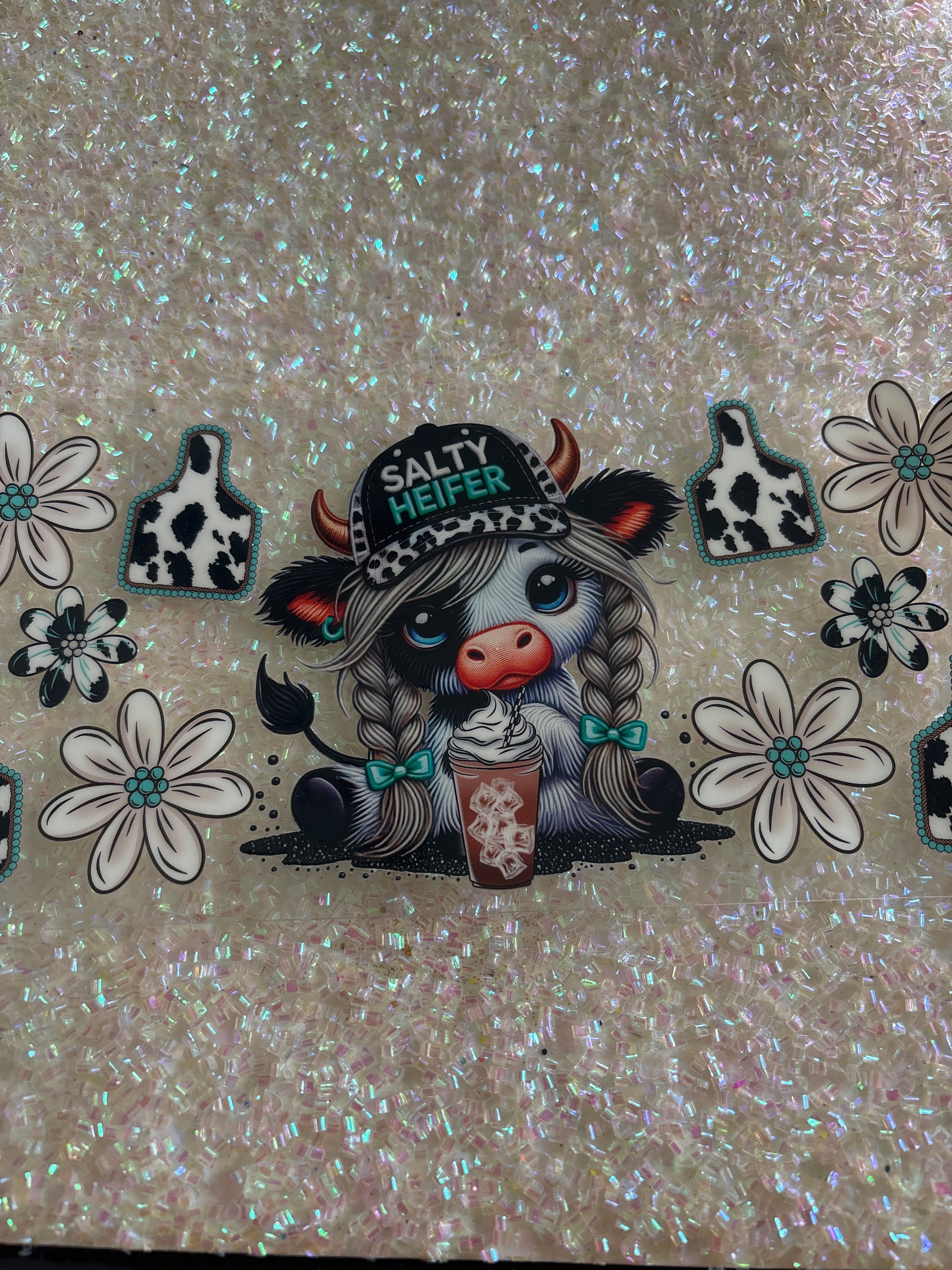 Salty heifer Highland cow