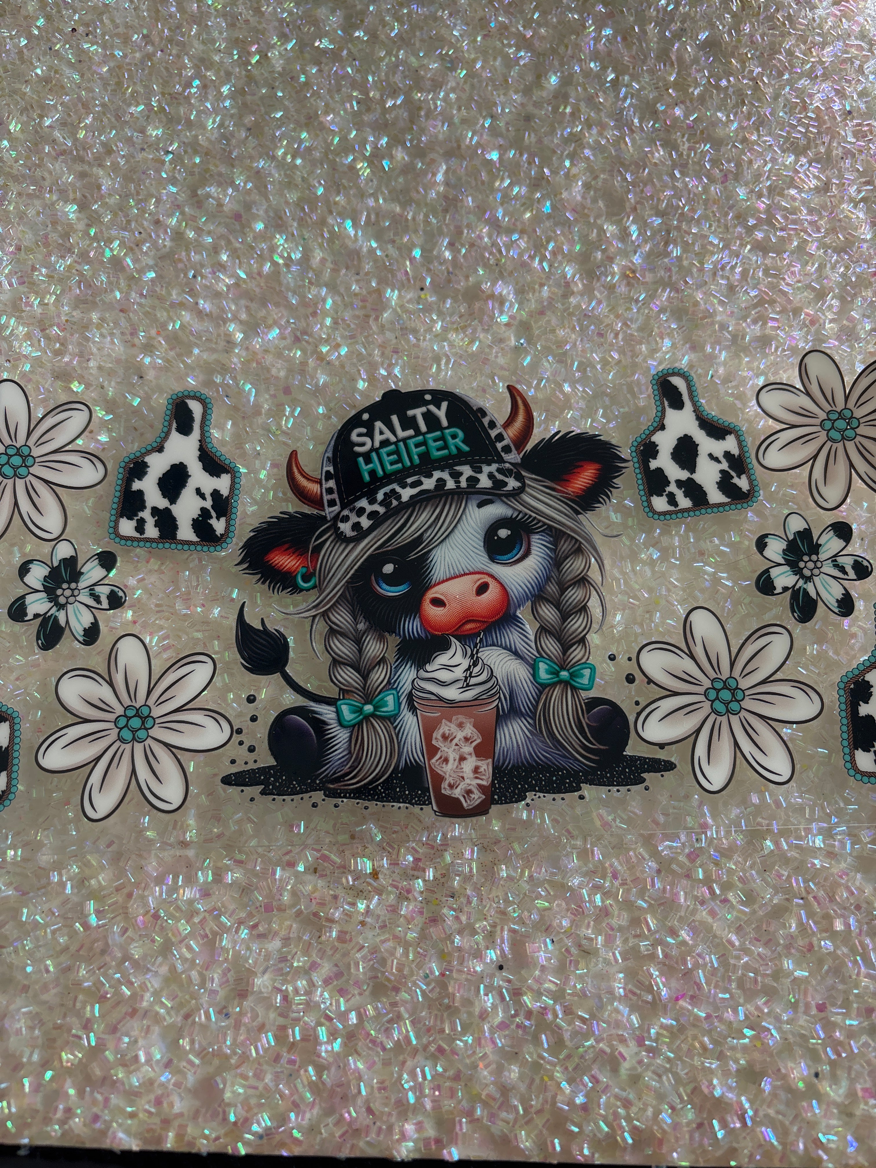 Salty heifer Highland cow