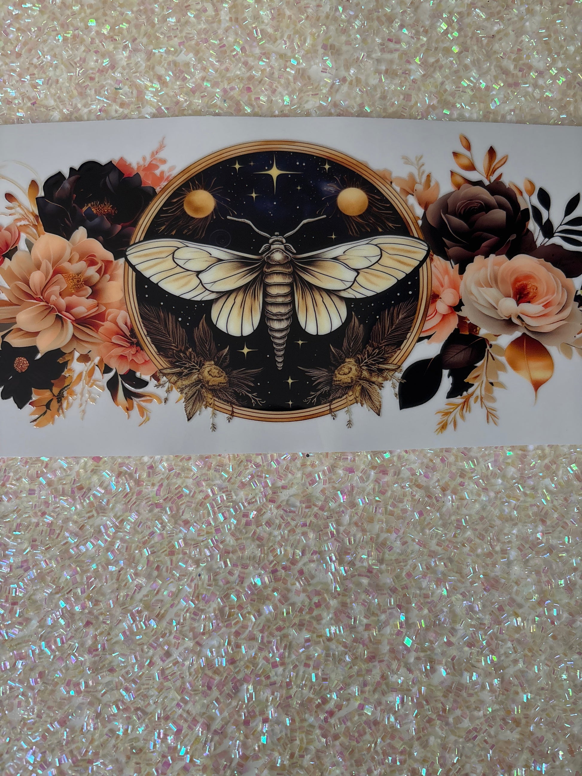 Moth in black circle