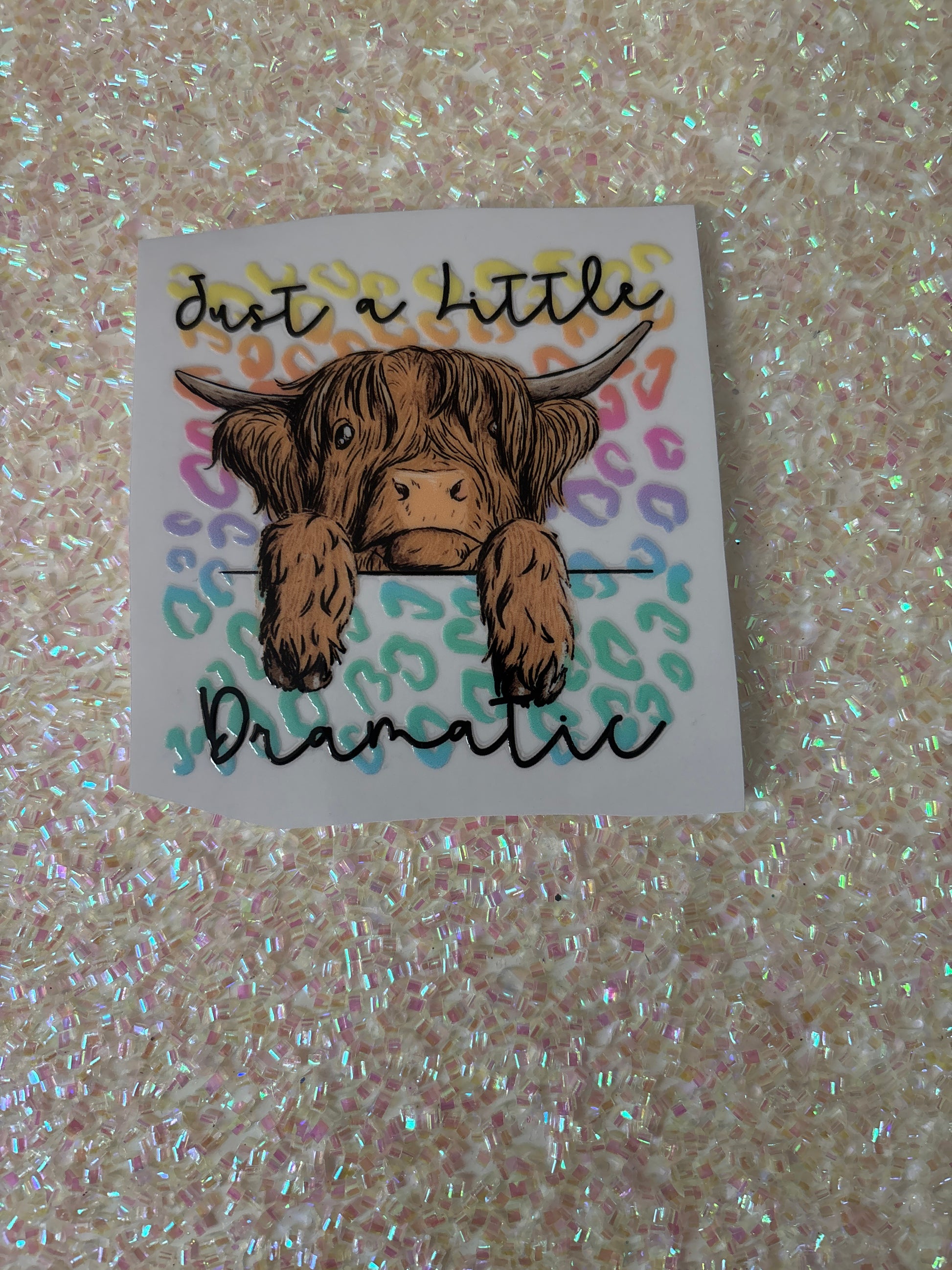 Highland Cow just a little Dramatic