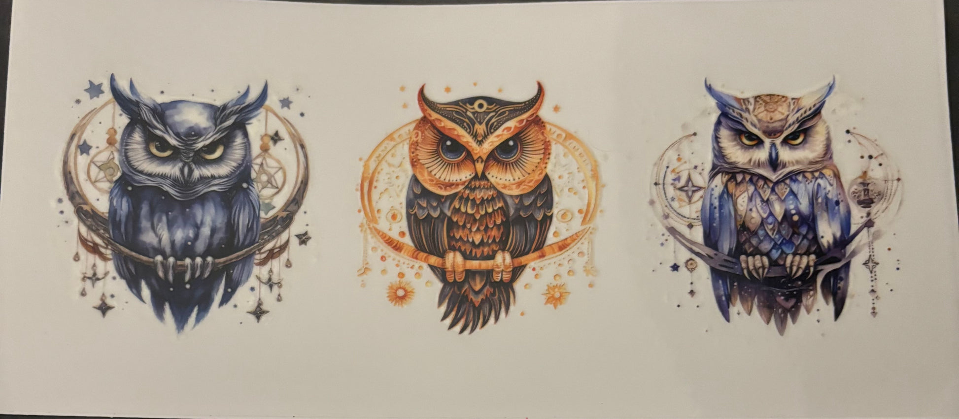 Three owls different colours