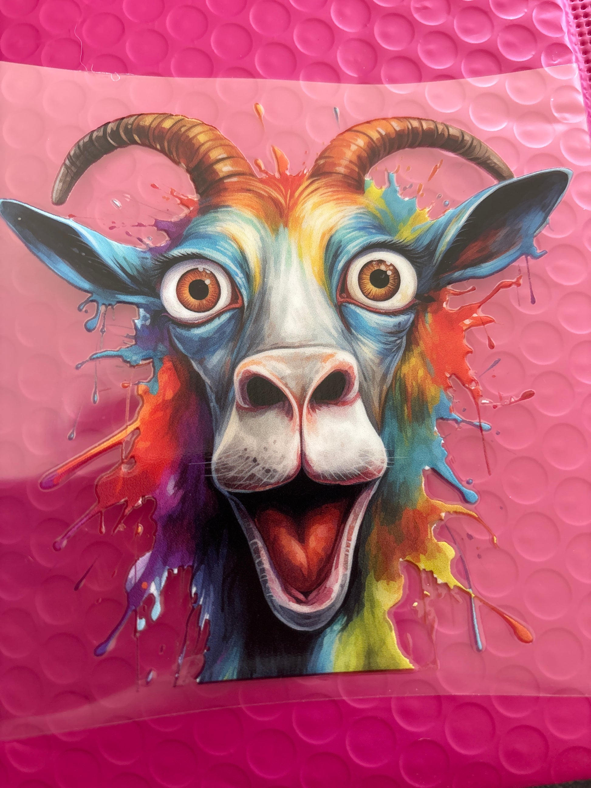 Crazy goat