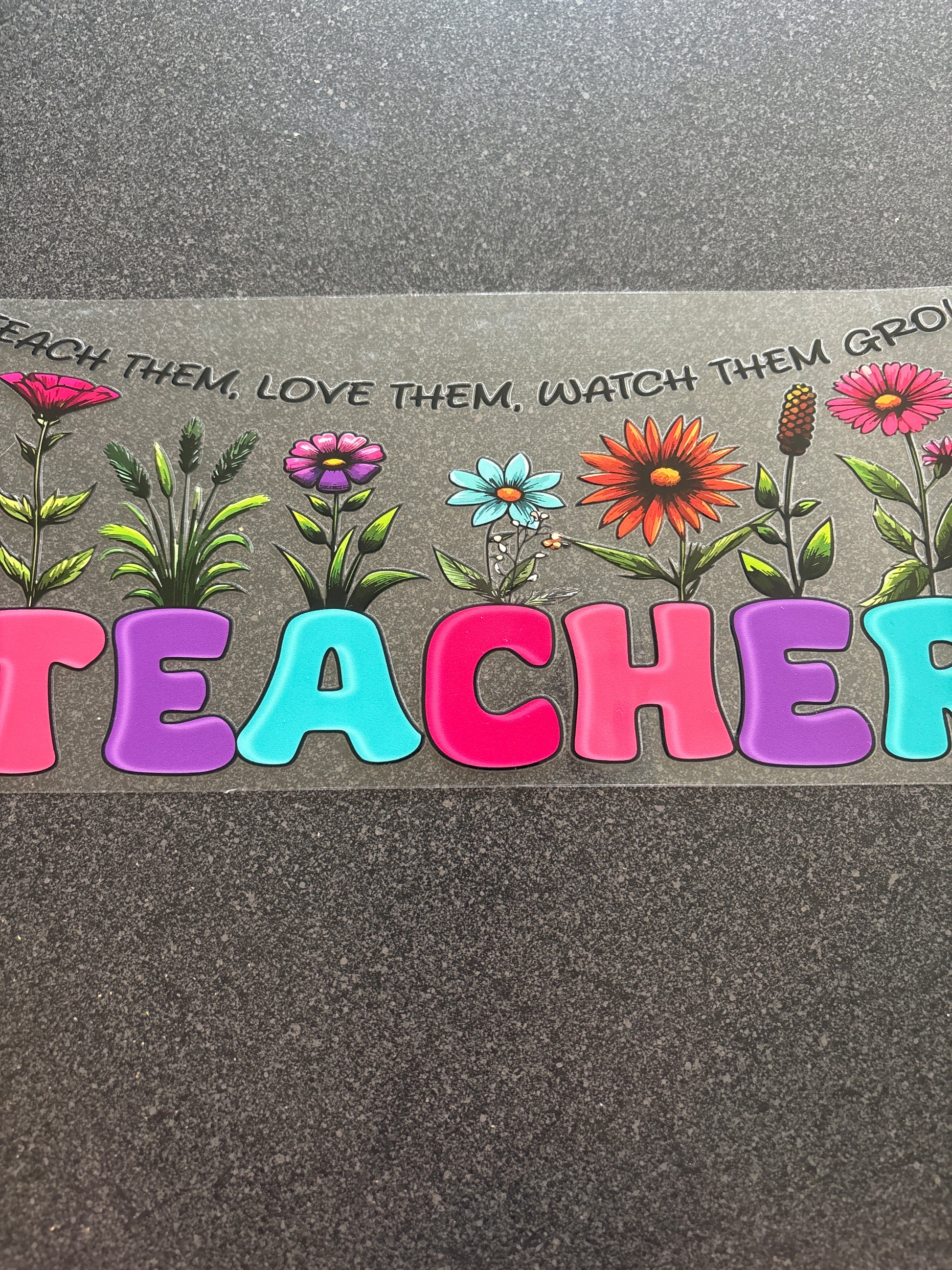 Teach them love them watch them grow teacher