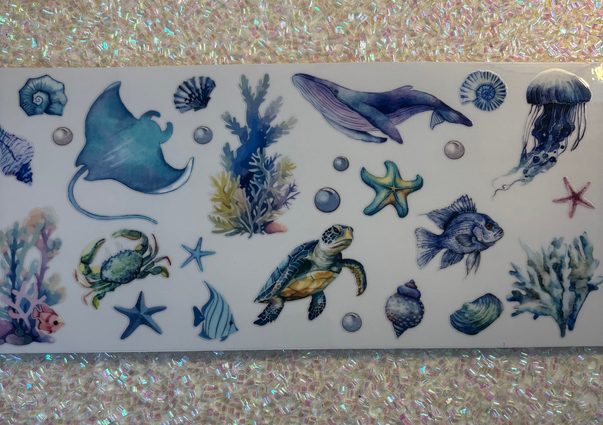 Sea Creatures 💙🤍